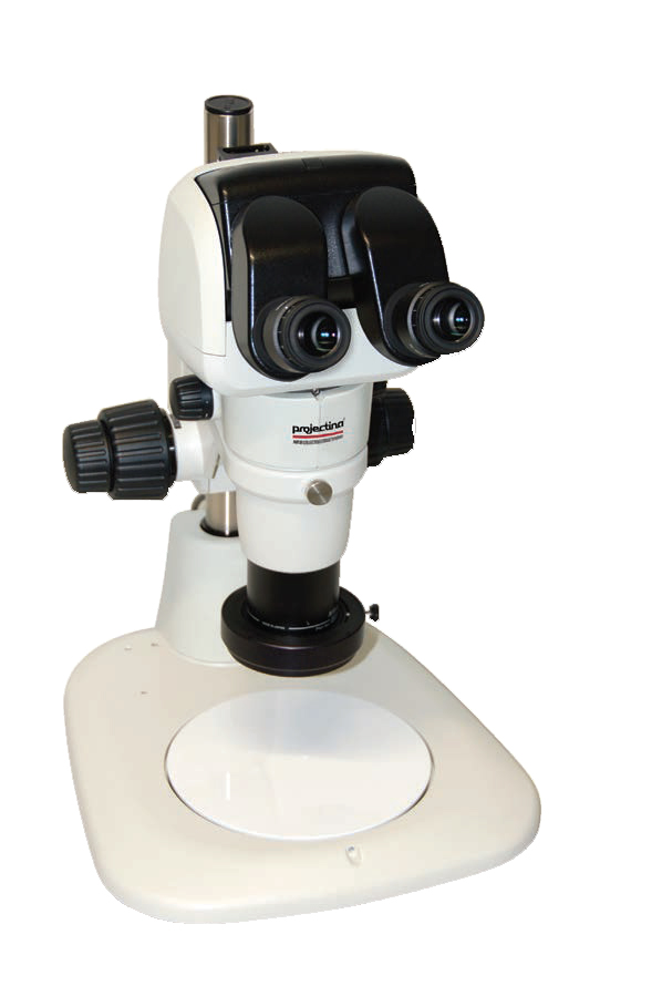Mikroskop stereoskopowy
